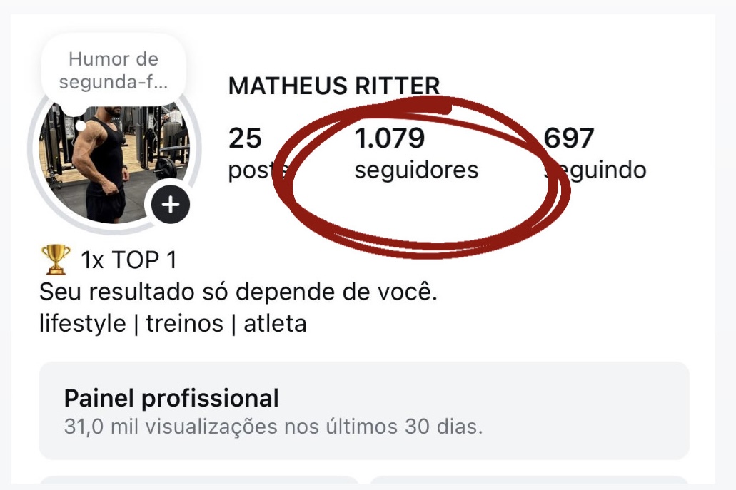Perfil do Matheus antes: 1.079 seguidores